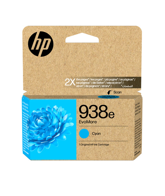 HP 4S6X9PE EvoMore Camgöbeği M.K(938e)