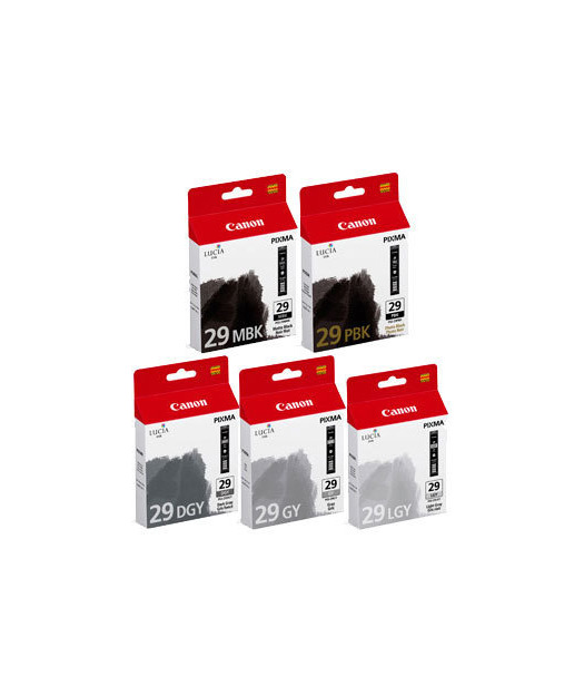 Canon PGI-29 MBK/PBK/DGY/GY/LGY MultiPack 4868B018