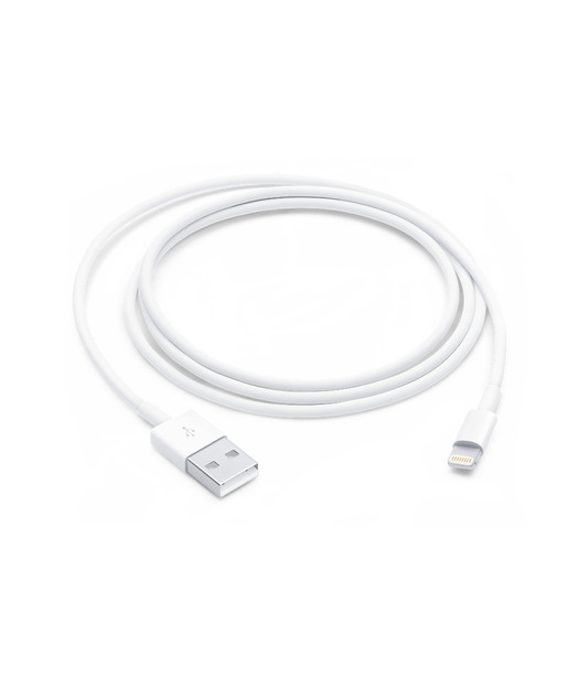 Apple MXLY2ZM/A 1 m Lightning USB Şarj Kablosu